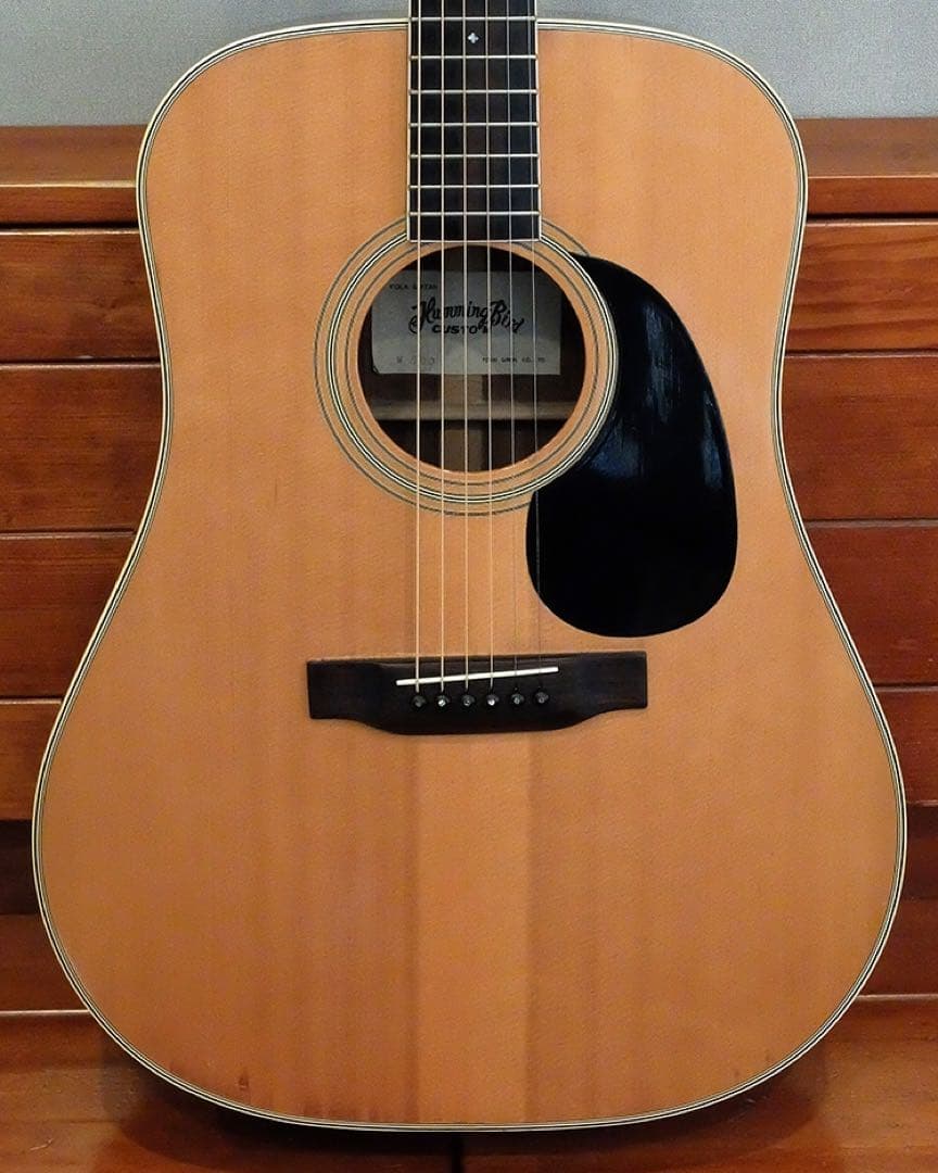 HummingBird W-600 初期超希少 ヴィンテージUSA GLOVER