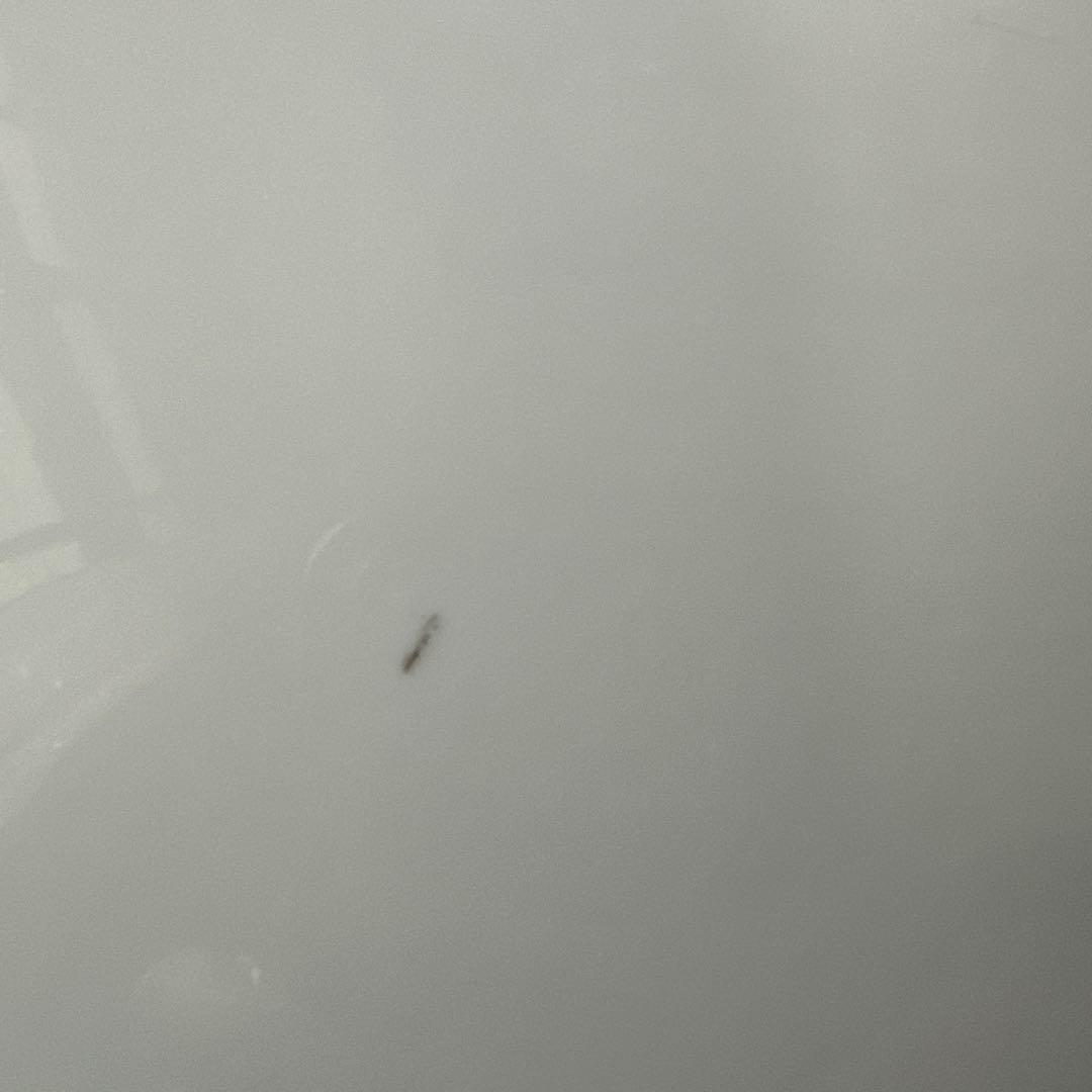 【HMZ716】備前有田焼　伝統工芸士　江口天童　飾皿　長期保管品