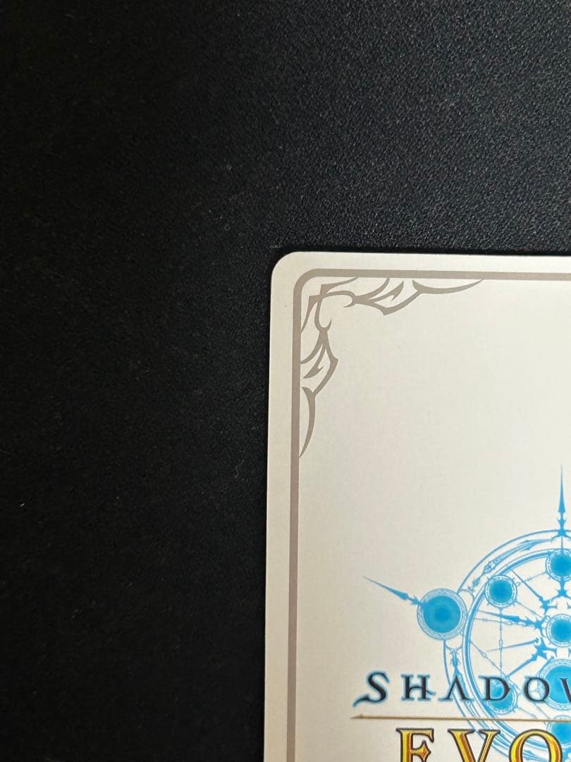 万華の鳳凰・ほーちゃん リーダー LD