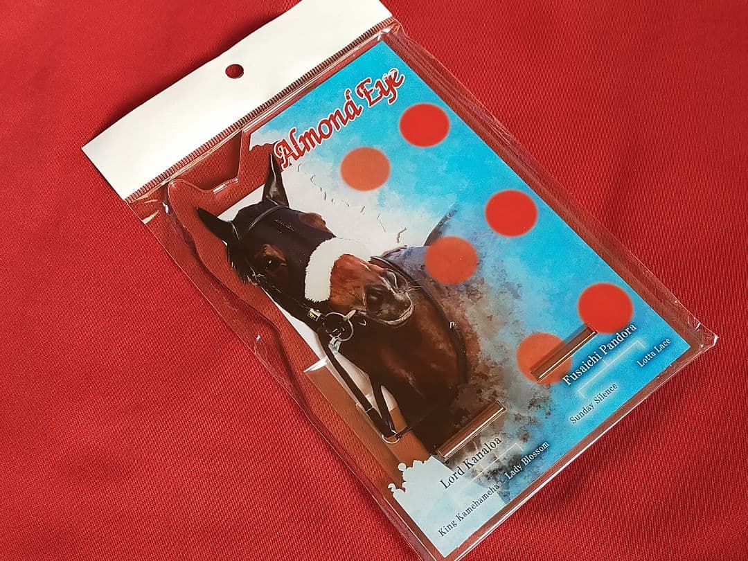 ◆　競馬　JRA　◆　オジュウチョウサン　◆革キーホルダー他◆グッズ４種セット◆