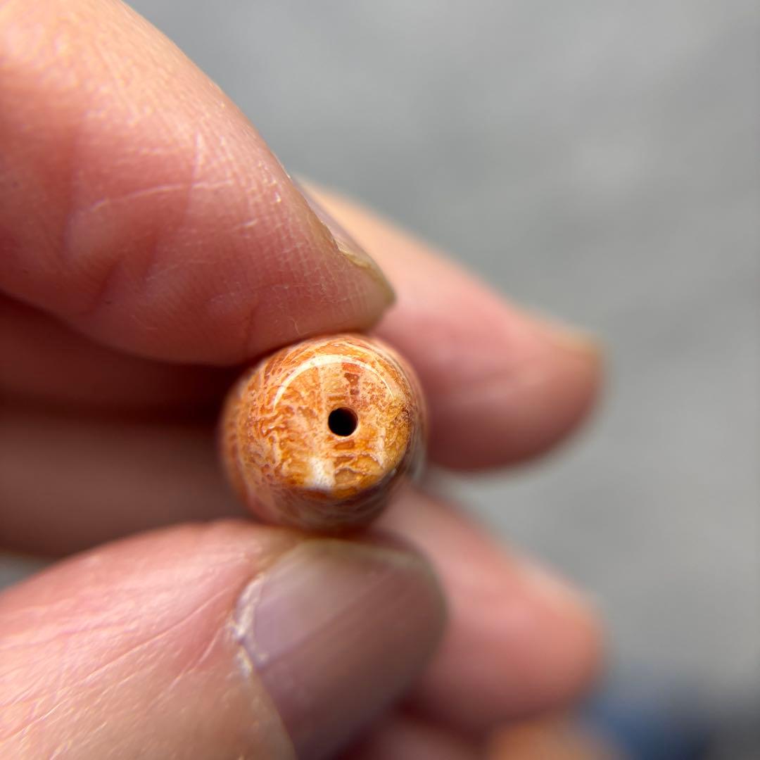 ユッキーフォッシルコーラル　天珠　1-332