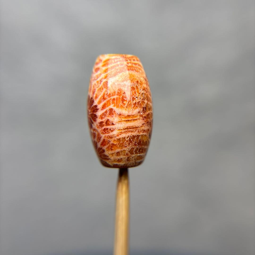 ユッキーフォッシルコーラル　天珠　1-332