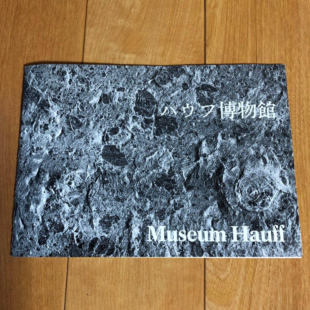 アンモナイト化石