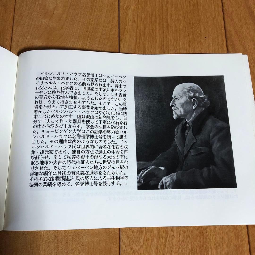 アンモナイト化石