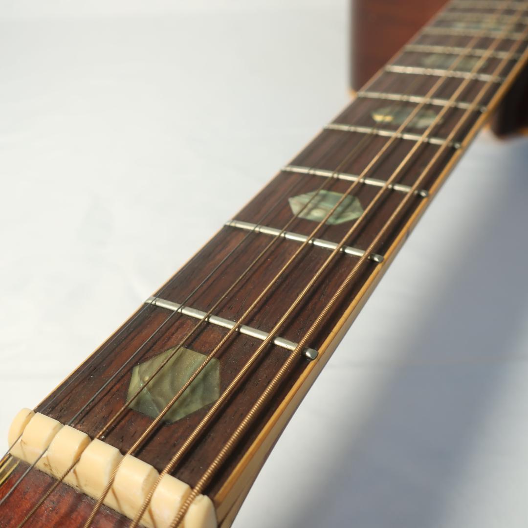 ARIA ADW-300 アコースティックギター 装飾インレイ - メルカリ