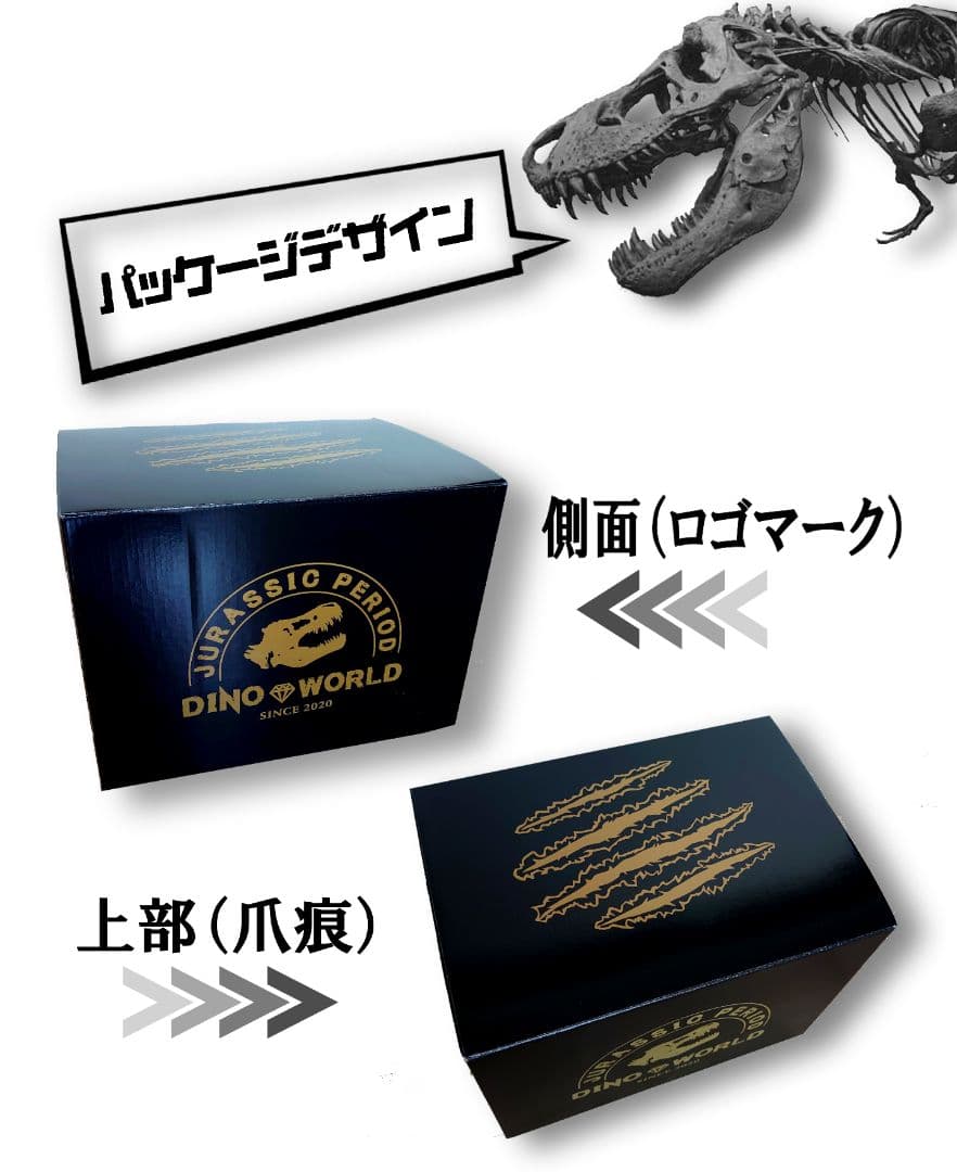 【DINOWORLD】ティラノサウルス 頭骨 化石 ジュラシックパーク