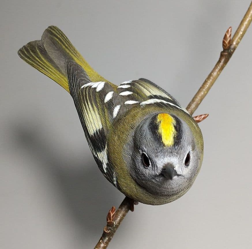 バードカービング(Bird Carving) キクイタダキ 野鳥彫刻 - メルカリ