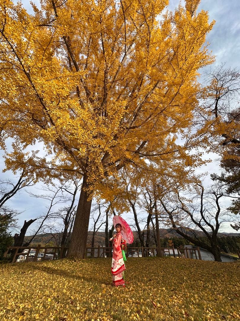 七五三 着物セット 豪華　フルセット　絞り柄
