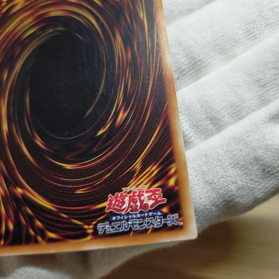 遊戯王 ブラック・パラディン レリーフ