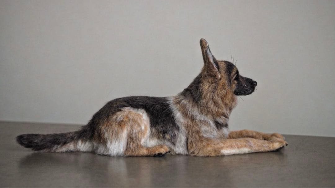 羊毛フェルト ハンドメイド シェパード犬 伏せポーズ 警察犬 犬 - メルカリ