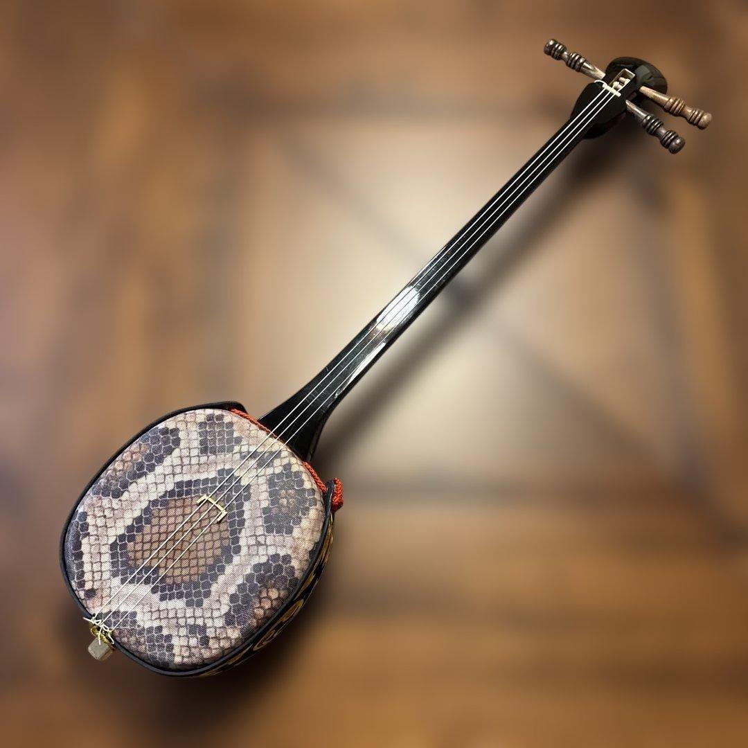 【本日限定セール‼︎】沖縄　三線　三味線　ソフトケースのおまけ付き 三線セット 沖縄三線初心者A 11点セット（人工皮＋ソフトケース）沖縄