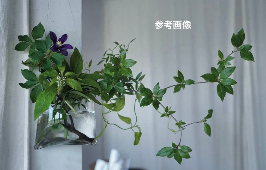 大家具子 ガラスベース 花器 square borsa Sサイズ - メルカリ