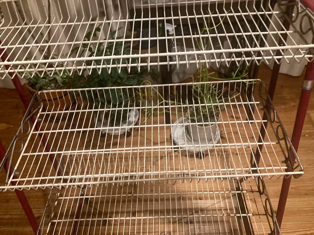 昭和レトロ　ワイヤーラック3段仕様　キャスター付ガーデニング　シャビーラック14