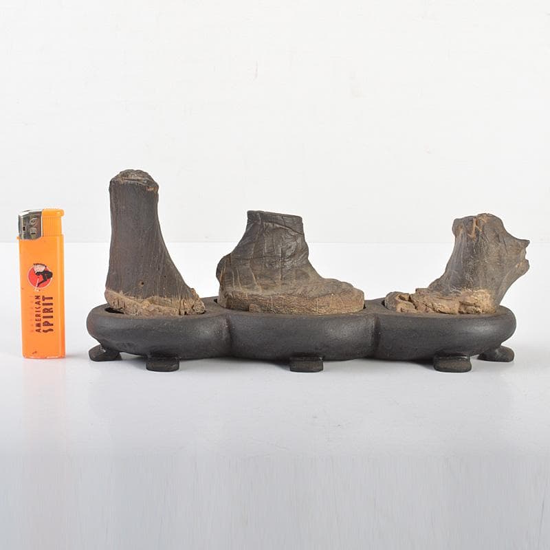 天然石 鑑賞石 木化石 置物 重さ約580g 唐木台付 C 6066の通販はau PAY