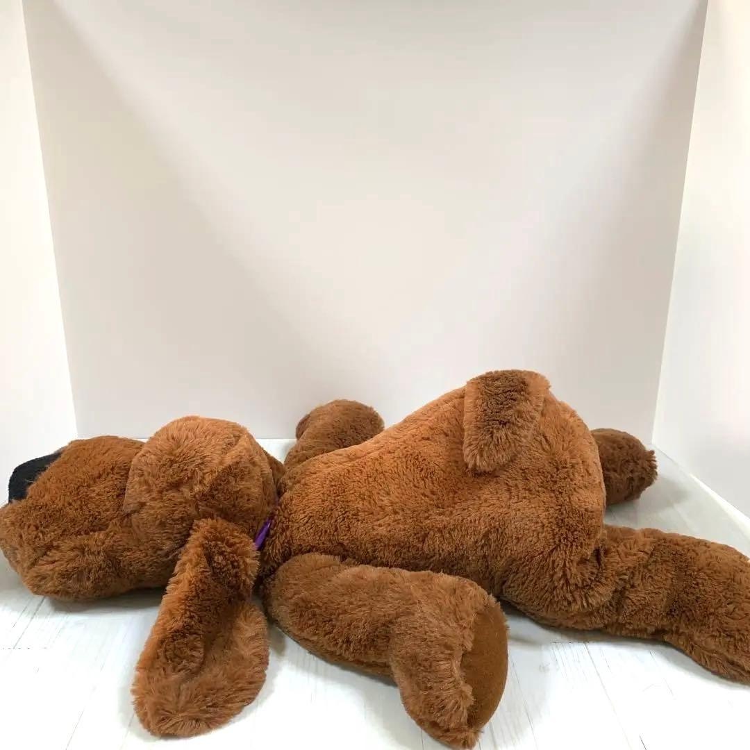 V☆ 子犬のルーク 大きいサイズ 55センチ