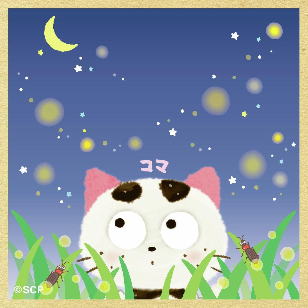 うちのタマしりませんか　正方形4