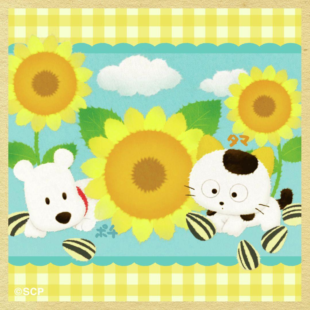 うちのタマしりませんか　正方形4