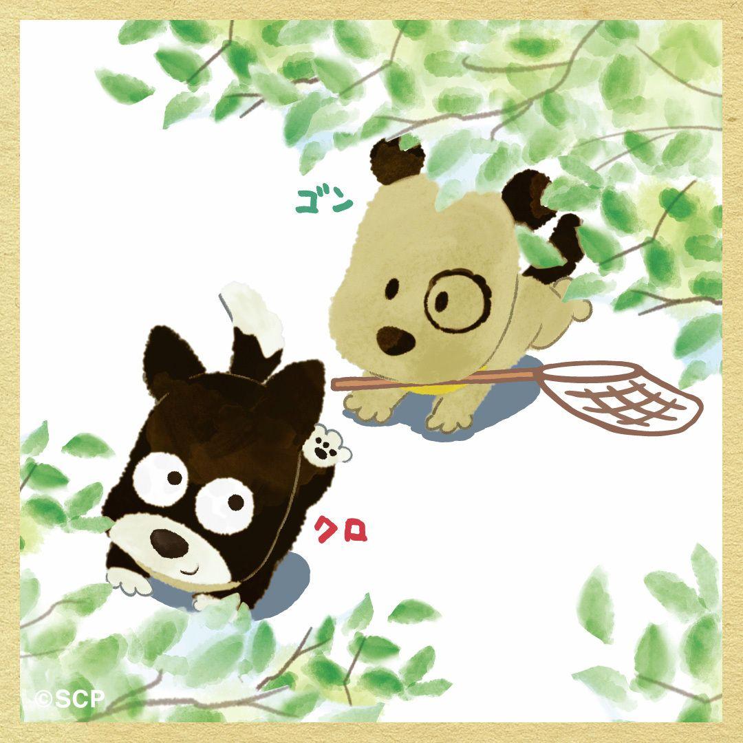 うちのタマしりませんか　正方形4