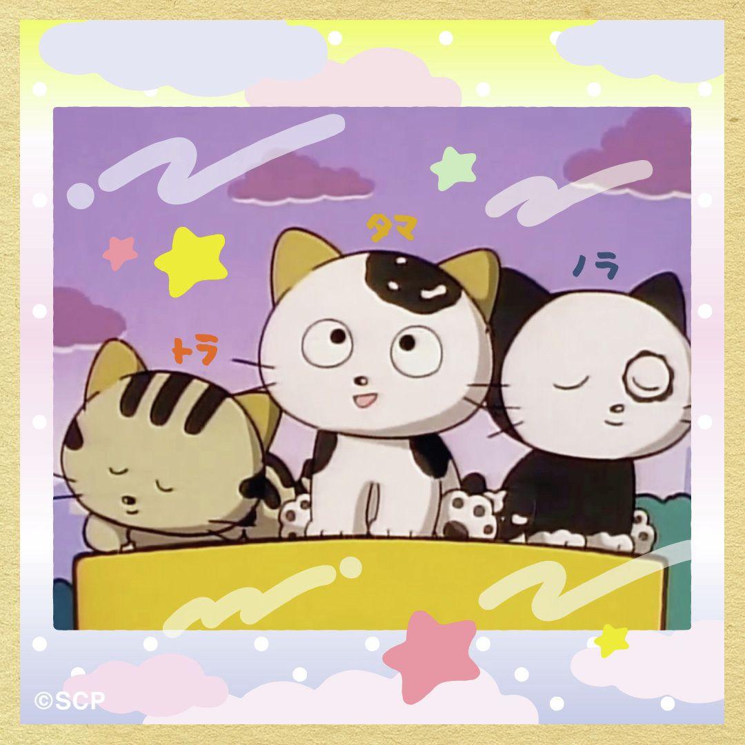 うちのタマしりませんか　正方形4