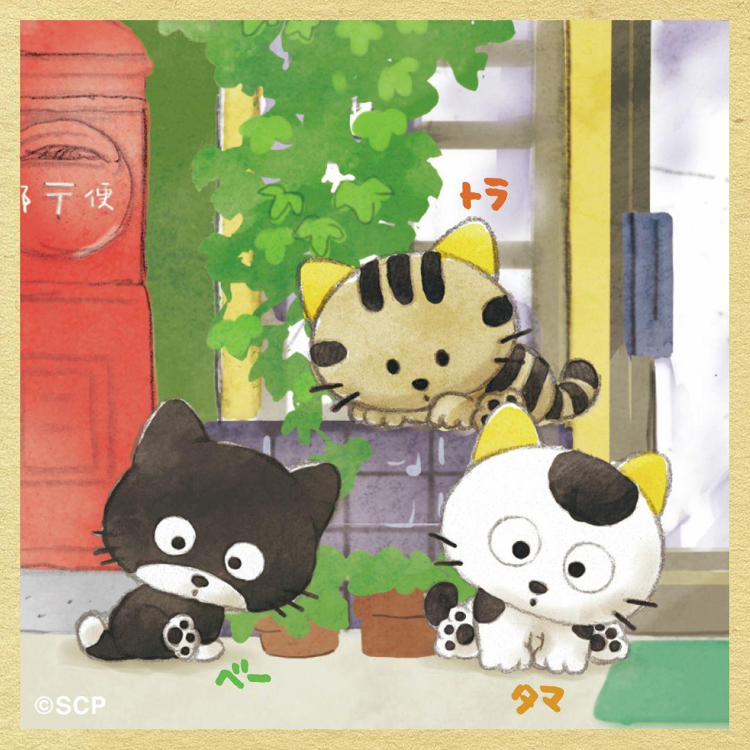 うちのタマしりませんか　正方形4