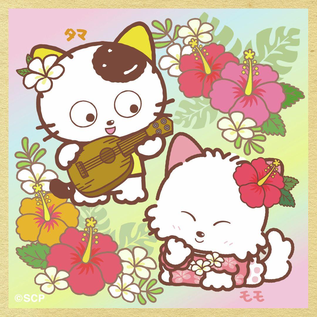 うちのタマしりませんか　正方形4