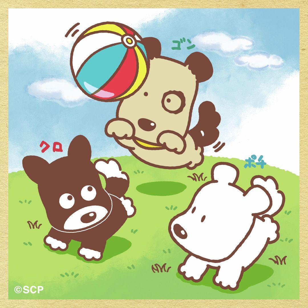 うちのタマしりませんか　正方形4