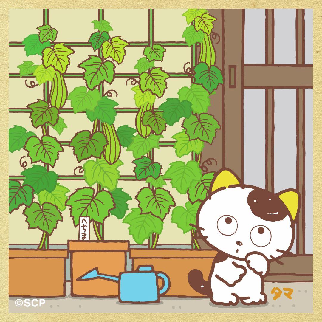 うちのタマしりませんか　正方形4