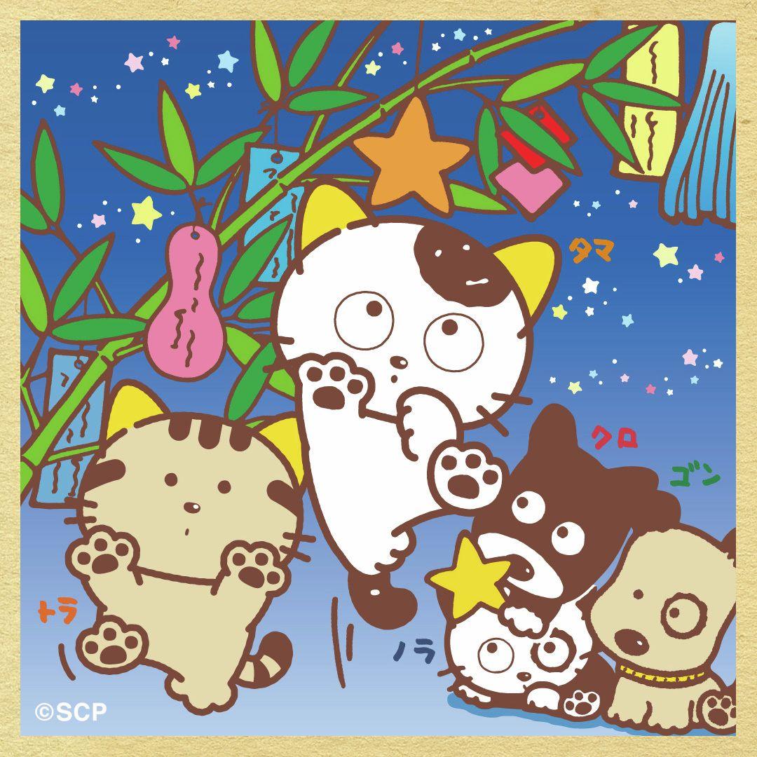 うちのタマしりませんか　正方形4