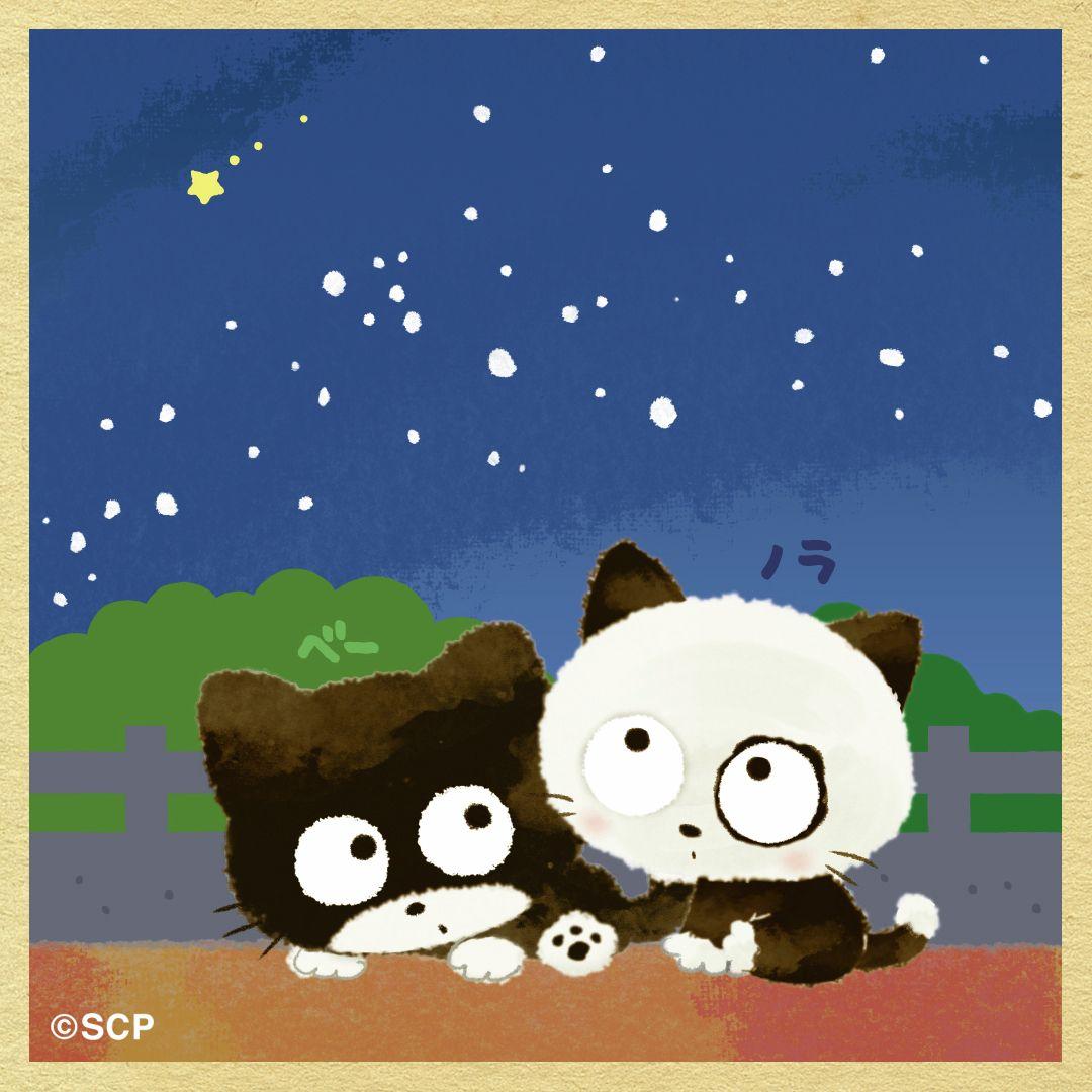 うちのタマしりませんか　正方形4