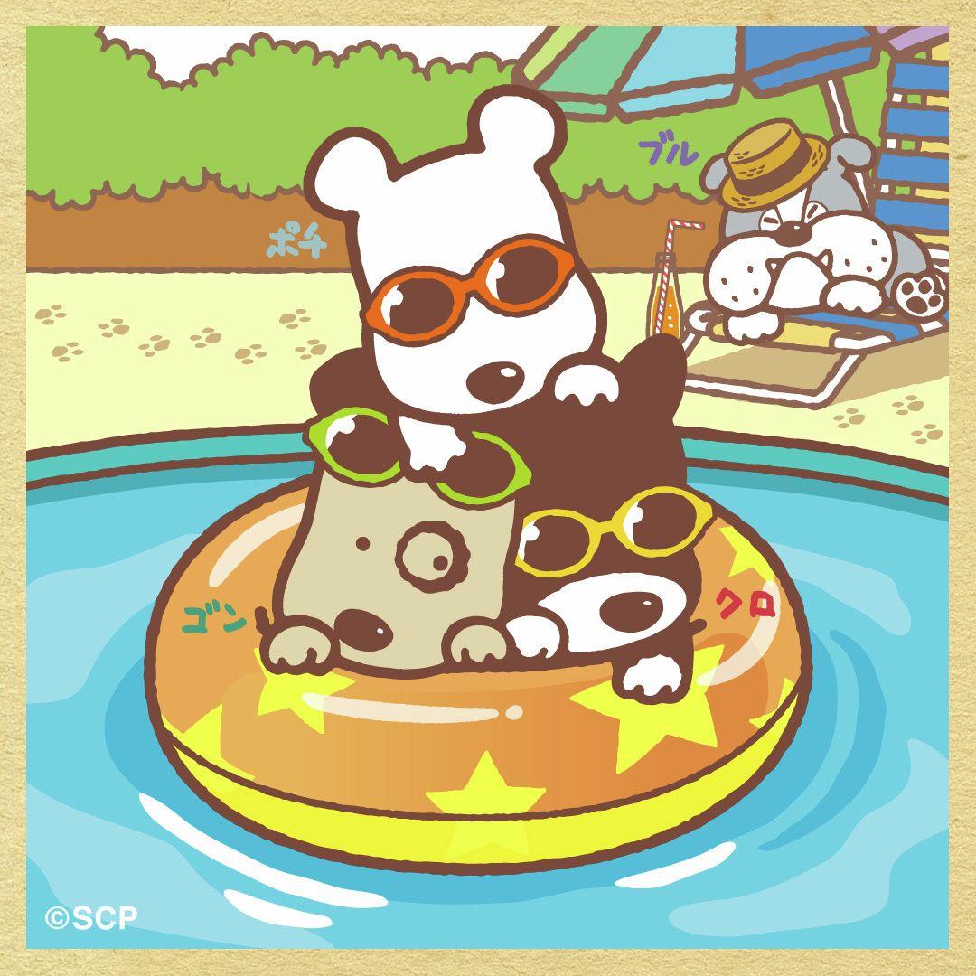 うちのタマしりませんか　正方形4