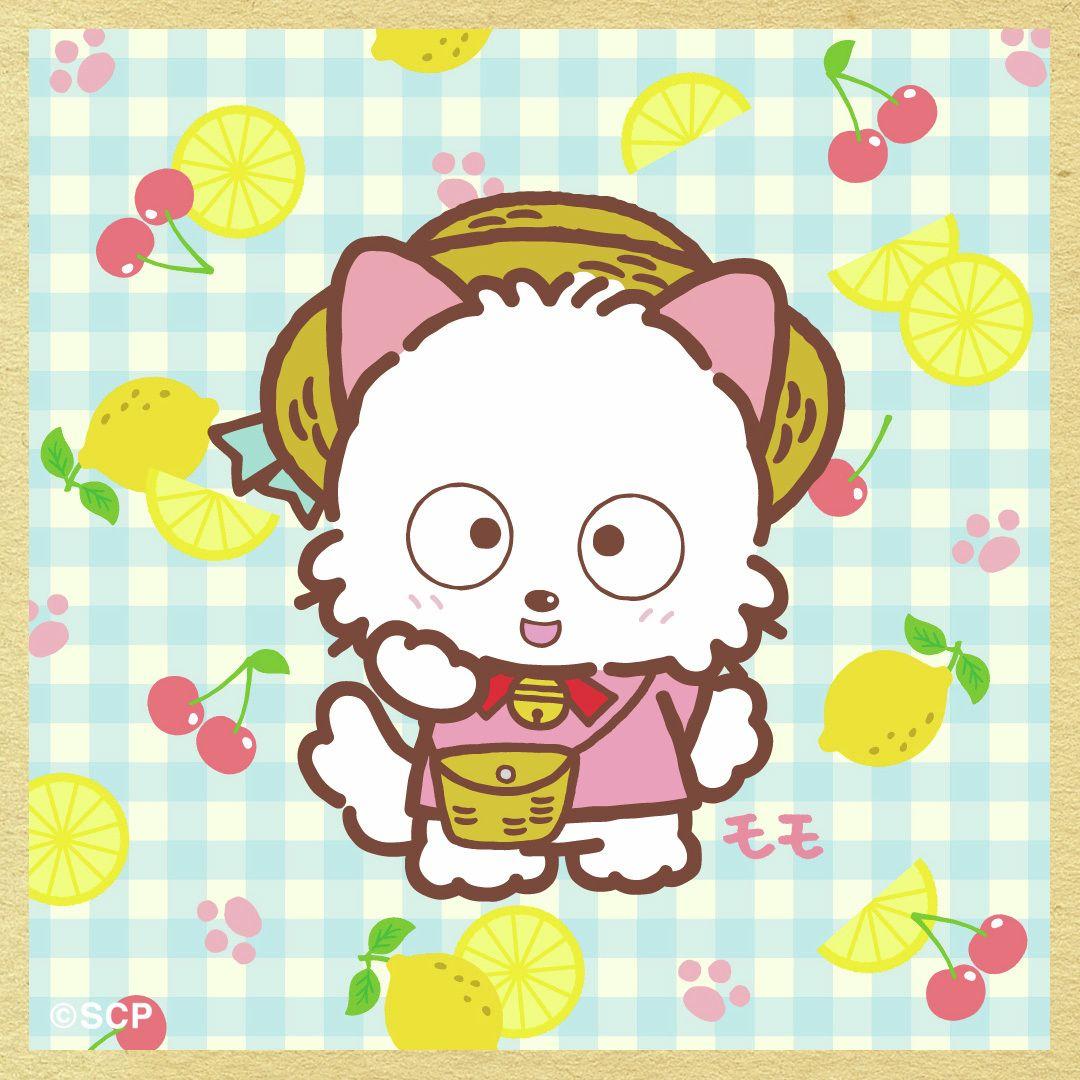 うちのタマしりませんか　正方形4