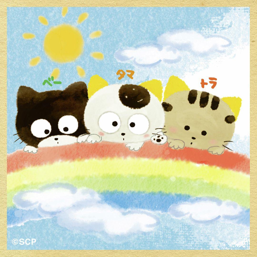 うちのタマしりませんか　正方形4