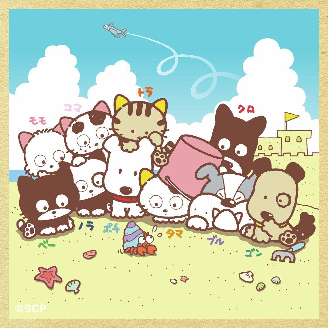 うちのタマしりませんか　正方形4