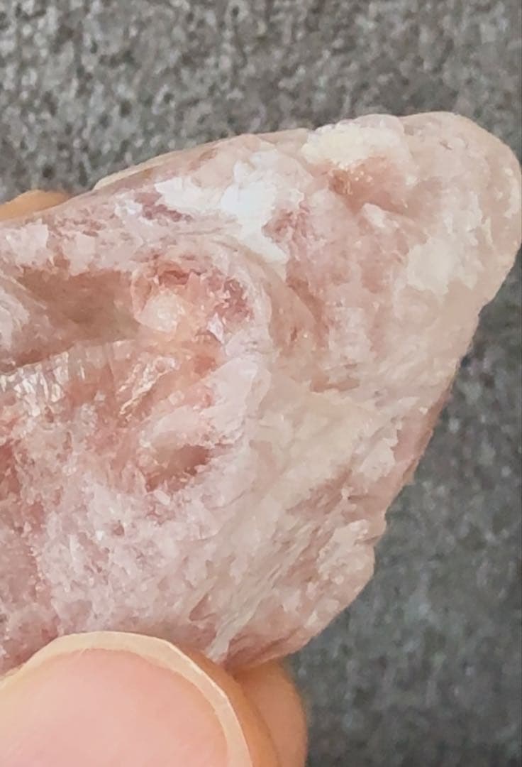 ピンクレムリアン　レムリアン　ドリームシクルレムリアン　ストロベリードリーム