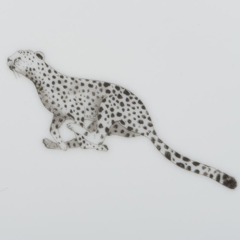 HERMES　エルメス　アフリカシリーズ　プレート　2枚　箱付　M　R9083