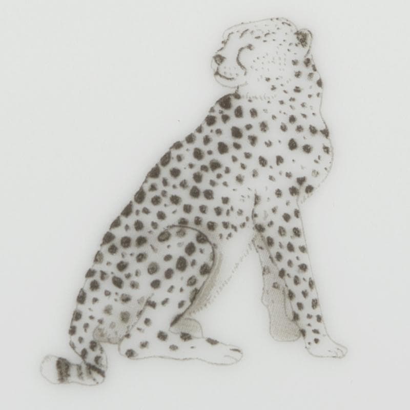 HERMES　エルメス　アフリカシリーズ　プレート　2枚　箱付　M　R9083