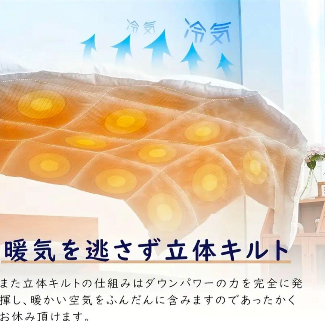 羽毛布団 シングル ポーランド産ホワイトダックダウン90% フェザー10%