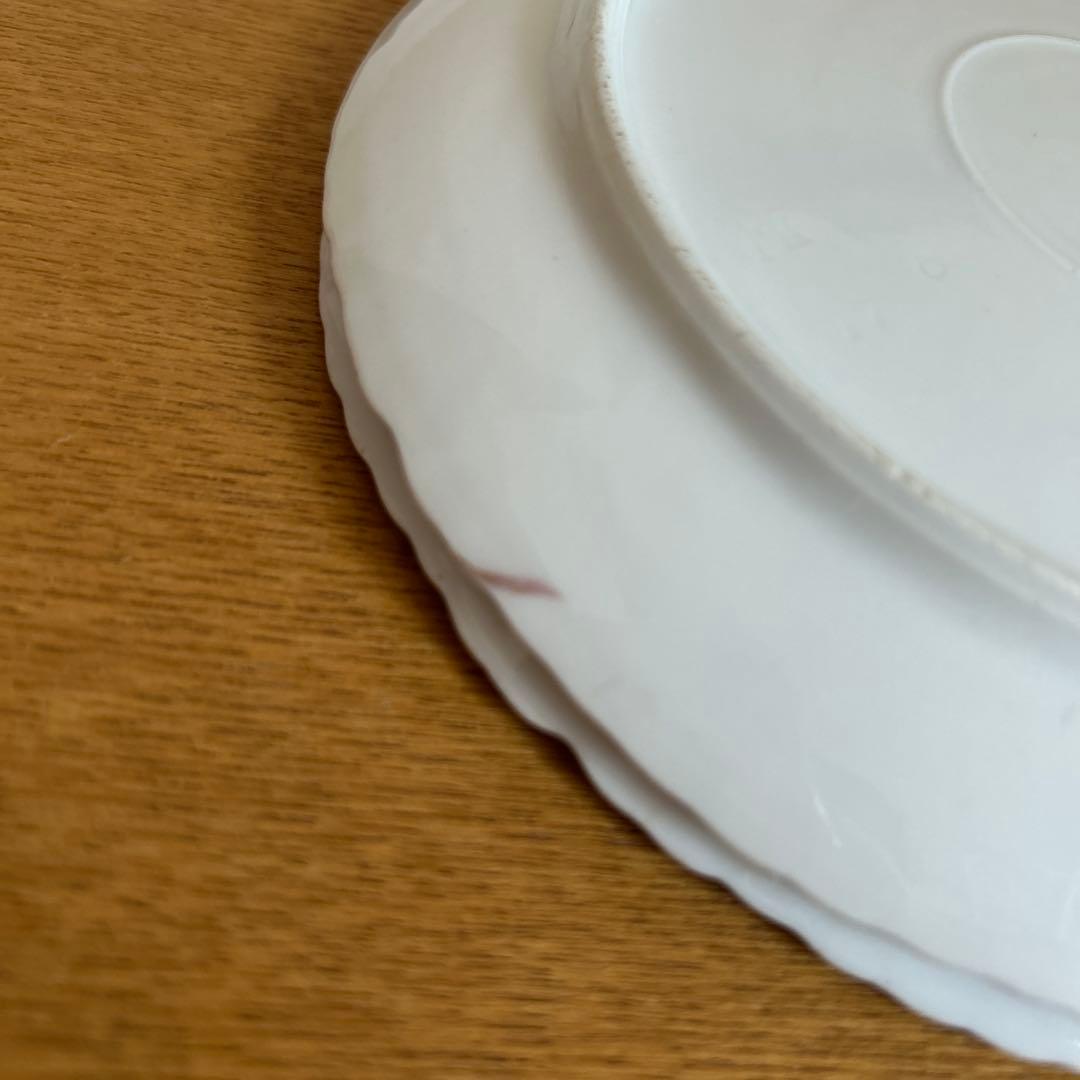 【ドレスデン】Ornamental 花柄リボン皿 6枚セット