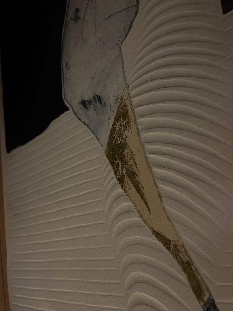 現代アート　柳瀬理恵子　シルクスクリーン　15限定　京都