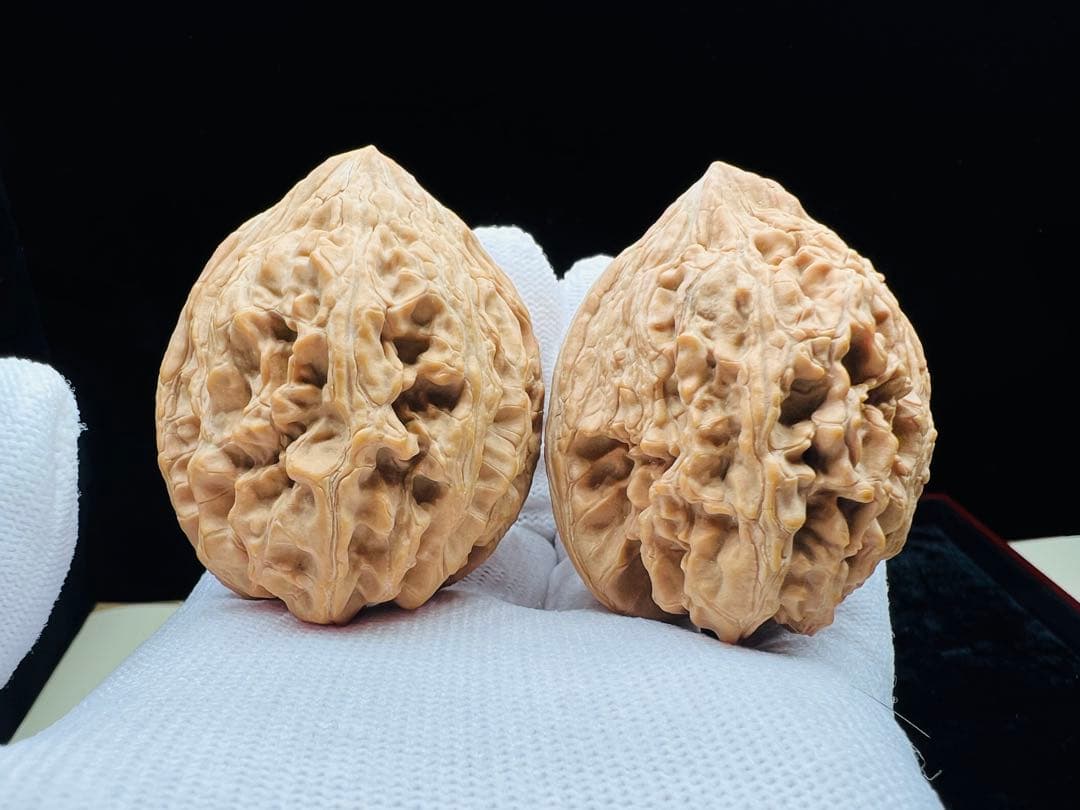 文玩堂：【优惠一天】大沽石45mm（巨石强森）超级大