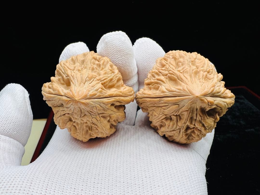 文玩堂：【优惠一天】大沽石45mm（巨石强森）超级大