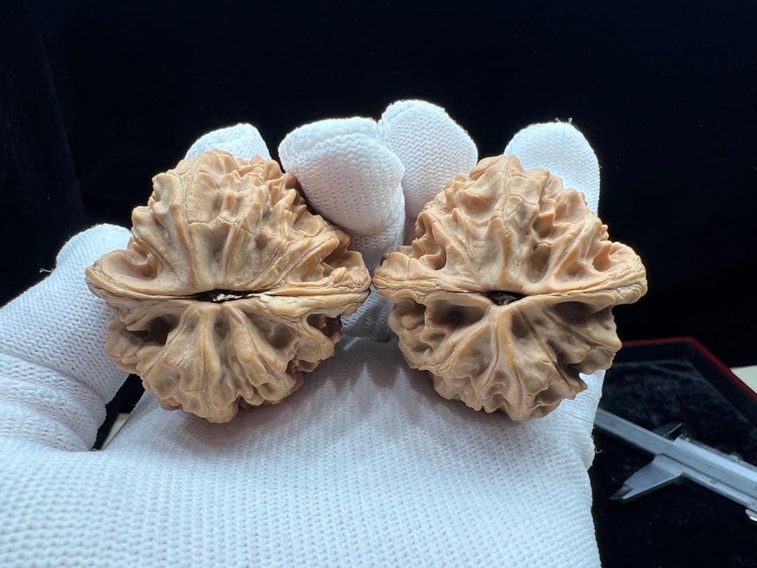 文玩堂：【优惠一天】大沽石45mm（巨石强森）超级大