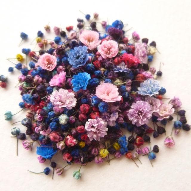 にゃーにゃ様◆【ドライフラワー】かすみ草の蕾 着色（843 レジン）