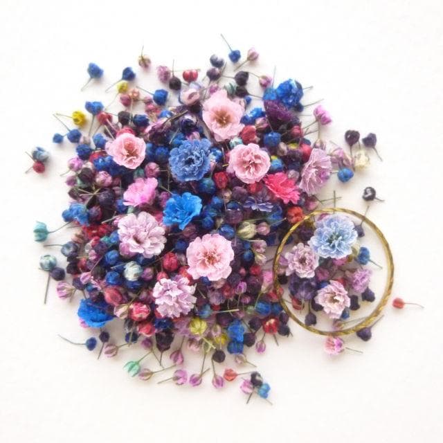 にゃーにゃ様◆【ドライフラワー】かすみ草の蕾 着色（843 レジン）