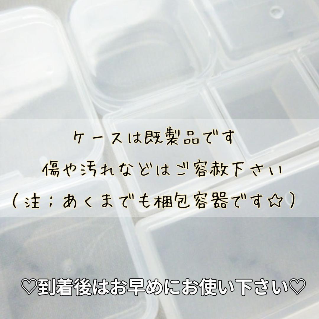 にゃーにゃ様◆【ドライフラワー】かすみ草の蕾 着色（843 レジン）