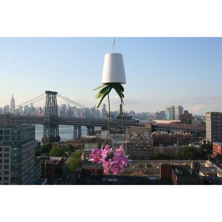 ボスケ スカイプランター クラシック - メルカリ