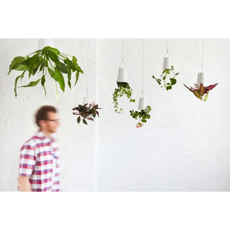 ボスケ スカイプランター クラシック - メルカリ