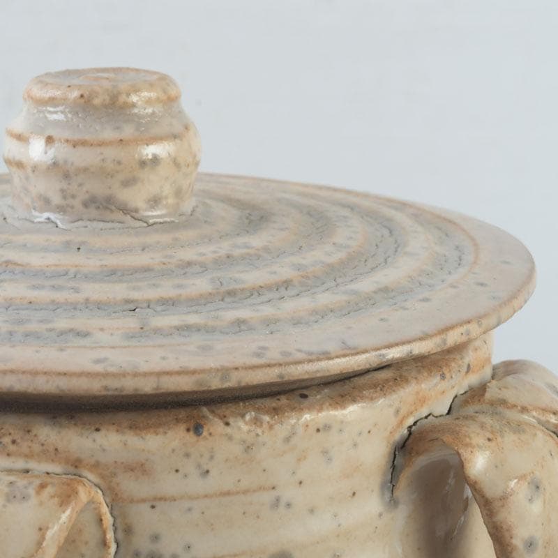 中国 磁州窯 鉄絵 花草文 高麗水指 共箱 V 9891A - メルカリ