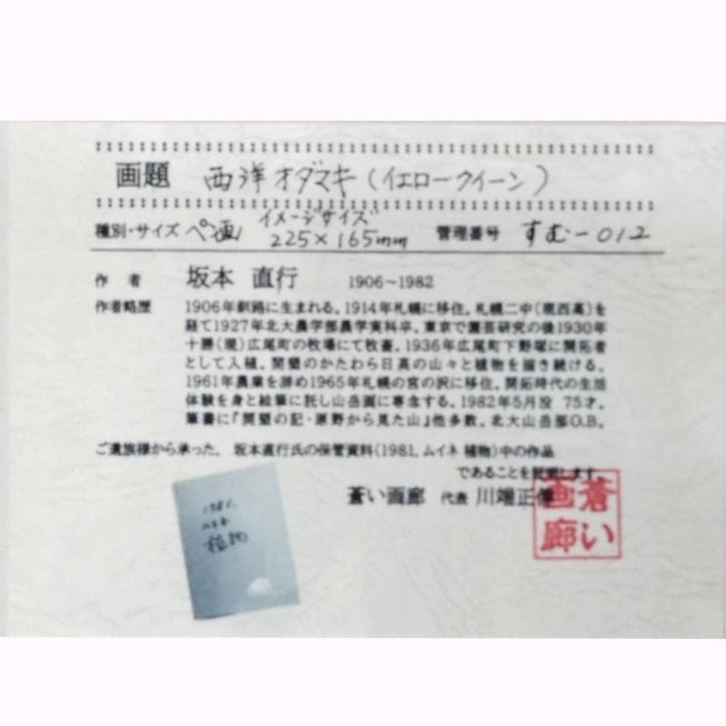 ☆坂本直行☆「 西洋オダマキ（イェロークィーン）」ペン画 太子 未