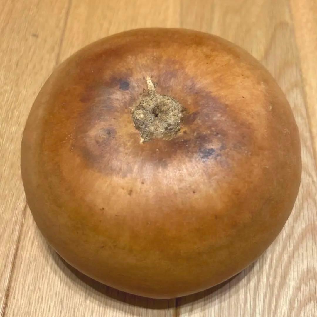 Umeke Ball ウメケボール